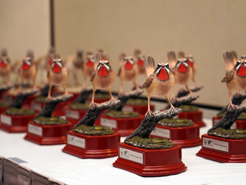 於世界自然（香港）基金會舉辦的2018年頒獎典禮上領取給予純銀會員的雀鳥模型