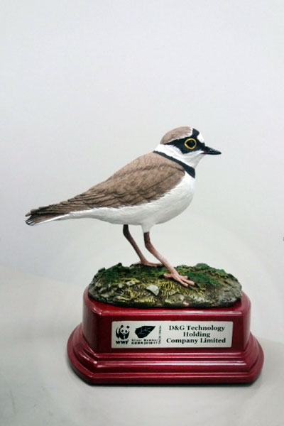 A bird model of Little Ringed Plover was awarded to each Silver member of WWF-Hong Kong